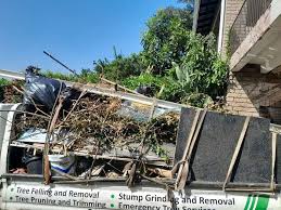 Best Retail Junk Removal  in Ovid, MI